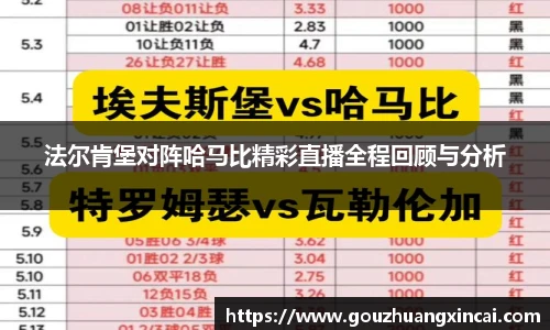 法尔肯堡对阵哈马比精彩直播全程回顾与分析
